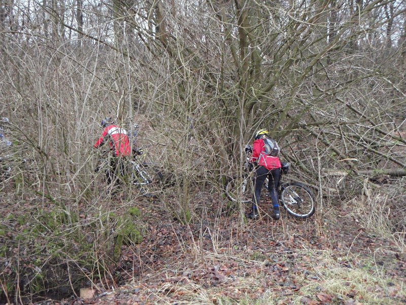 Waldtour 025
